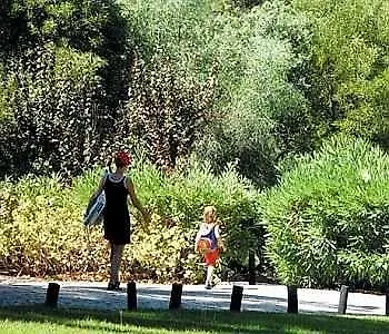 Quinta Da Balaia * Αλμπουφέιρα